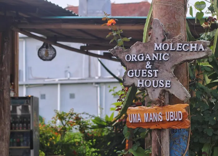 Uma Manis Herberg *
